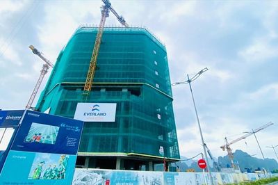 Everland lãi hơn 65 tỷ đồng, dòng tiền kinh doanh âm gần 590 tỷ đồng