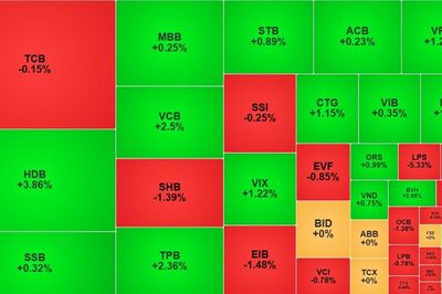 VN-Index tăng gần 5 điểm, cổ phiếu DGW giảm sàn dù lãi quý 3 tăng mạnh
