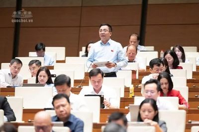 Đại biểu chỉ rõ 3 hành vi gây tổn hại nền kinh tế số mà dự án luật bỏ sót