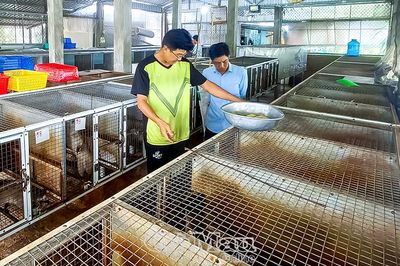 Đảng viên tiên phong