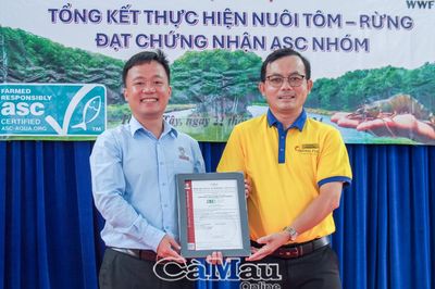 Tôm sú Cà Mau: Từ tán rừng ngập mặn vươn ra thế giới - Bài 2: Tự hào vùng tôm - rừng đạt chứng nhận quốc tế lớn nhất Việt Nam