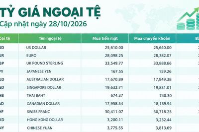 Tỷ giá ngoại tệ ngày 28/10: USD bán ra 26.220 đồng, franc Thụy Sĩ duy trì mức giá bán cao