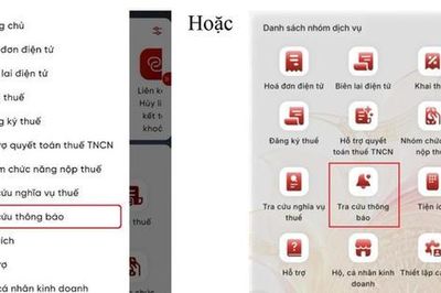 Hướng dẫn tra cứu thông tin tạm hoãn xuất cảnh do nợ thuế trên eTax Mobile