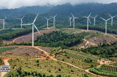 Xác lập hồ sơ xử phạt vi phạm chuyển mục đích sử dụng rừng tại dự án Nhà máy điện gió Hòa Thắng 1.2