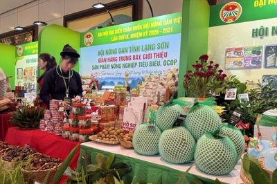 Nông nghiệp tri thức đưa nông sản Việt vươn tầm quốc tế
