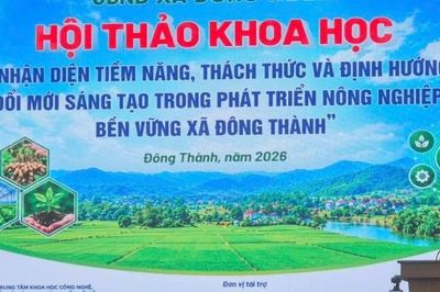 Xã Đông Thành (Phú Thọ): Đổi mới sáng tạo để bứt phá cho nông nghiệp bền vững