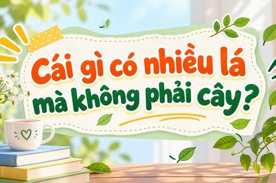 Cái gì có nhiều lá nhưng không phải cây? Đáp án rất quen thuộc