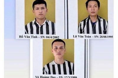 Người che giấu, không tố giác phạm nhân trốn trại sẽ bị xử lý sao?