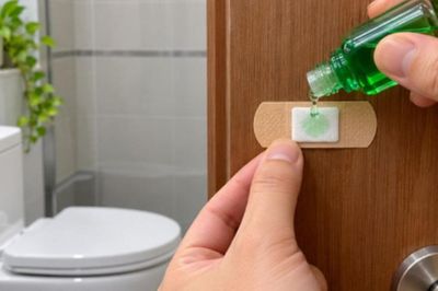 Chỉ một miếng dán này lên cửa nhà vệ sinh, muỗi biến mất, nhà thơm phức tức thì