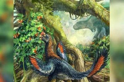 Phát hiện hóa thạch 'Gà địa ngục' ăn trái cây đầu tiên