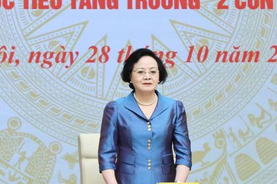 Phó Thủ tướng: Tập trung triển khai nhiệm vụ để xây dựng biên chế, cải cách tiền lương