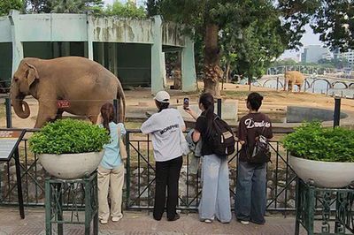 Đề xuất 'vừa mở, vừa đóng' Công viên Thủ Lệ: Lãnh đạo Vườn thú nói gì?