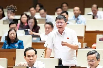 Mới: Đại biểu Quốc hội tranh luận về hạn mức diện tích, điều kiện tách thửa đất