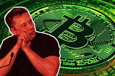 Elon Musk từng bị nghi là cha đẻ Bitcoin