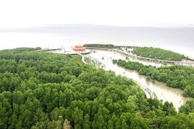 Vietjet dự kiến khai thác đường bay Hà Nội - Cà Mau từ ngày 29.11, góp phần phát triển du lịch