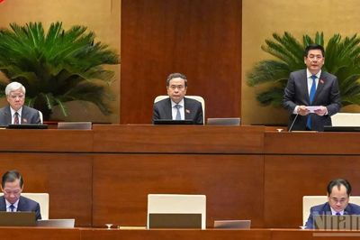 Sửa Luật Đất đai: Bảo đảm quyền lợi người dân từ thu hồi đất đến giao dịch
