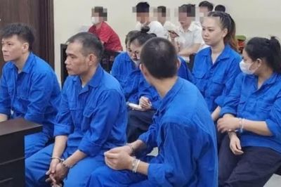 Đánh giá kỹ tác động với đề xuất mở rộng đối tượng hiến mô, tạng
