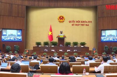 [Video] Đề xuất quy định ngay trong Luật Đất đai các giao dịch phải công chứng, chứng thực