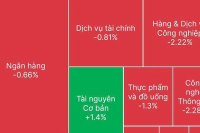 Chứng khoán hôm nay 29/10/2026: VN-Index đảo chiều giảm điểm