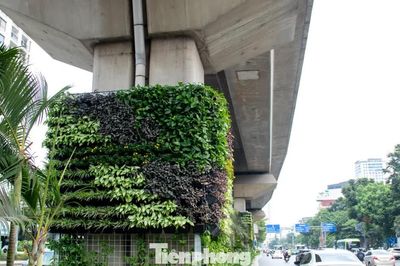 Trụ đường sắt, hầm chui Hà Nội 'lột xác' sau khi phủ cây xanh