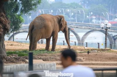 Hiện trạng Công viên Thủ Lệ sau nửa thế kỷ phục vụ người dân và du khách