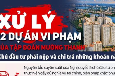 Xử lý 12 dự án vi phạm của Tập đoàn Mường Thanh: Chủ đầu tư phải nộp và chi trả những khoản nào?