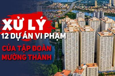 Xử lý 12 dự án vi phạm của Tập đoàn Mường Thành: Chủ đầu tư phải nộp và chi trả những khoản nào?