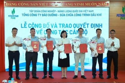 [VIDEO] PVMR kiện toàn đội ngũ cán bộ, nâng cao hiệu quả quản trị