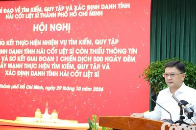 TP.HCM số hóa 100% mộ đã khai quật