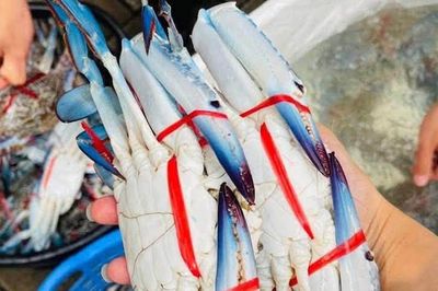 Ăn cua ghẹ chết có nguy cơ gì?
