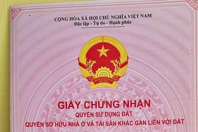 Sổ hồng ghi 407m2 đất vườn, nay đo lại thành đất trồng cây lâu năm có đúng luật?