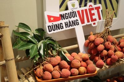 Minh bạch xuất xứ hàng hóa Việt Nam: Doanh nghiệp cần nắm vững quy định mới