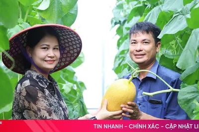 'Mở lối' cho những vùng đất sản xuất kém hiệu quả