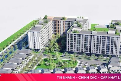 Hà Tĩn: Dự kiến đấu giá trực tuyến 41 căn nhà ở thương mại Dự án thí điểm nhà ở xã hội giai đoạn II trong tháng 11