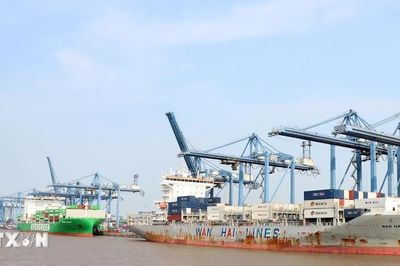 Thành phố Hồ Chí Minh đề xuất ưu đãi 8 nhóm ngành kinh tế biển