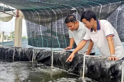 Động lực để nông dân xứ Nghệ chuyển mình mạnh mẽ