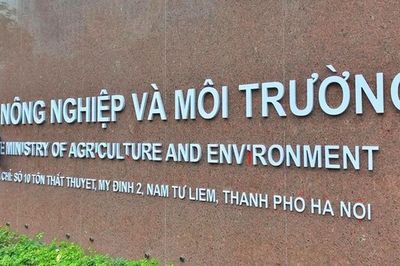 Phát hiện nhiều vi phạm tại các hồ sơ cấp phép khoáng sản của Bộ NN&MT