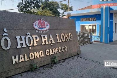 Sau vụ heo nhiễm dịch, Đồ hộp Hạ Long kinh doanh ra sao?