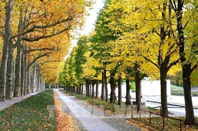 Mùa Thu Berlin trầm lắng và quyến rũ