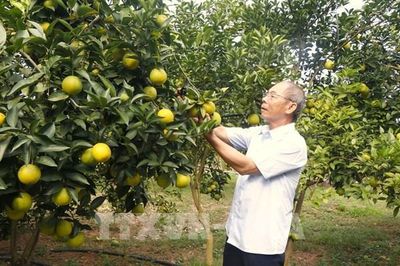 Thêm kênh phân phối, mở cơ hội tiêu thụ cho sản phẩm nông sản