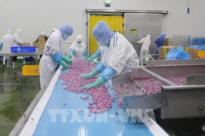 Kim ngạch xuất nhập khẩu hàng hóa Việt Nam vượt mốc 1.000 tỷ USD sau 10 tháng