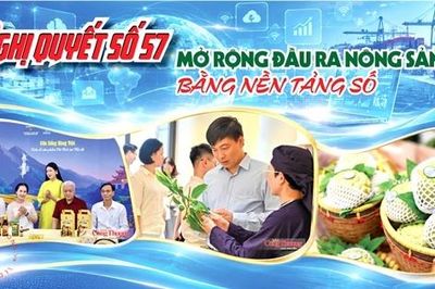 E-magazine | Nghị quyết 57: Mở rộng đầu ra nông sản bằng nền tảng số