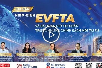 Trực tiếp: Tọa đàm 'Hiệp định EVFTA và bài toán giữ thị phần trước những chính sách mới tại EU'