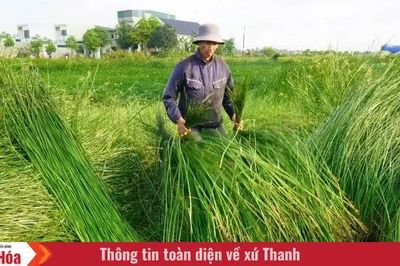 Nghề xưa đồng hành cùng cuộc sống hiện đại