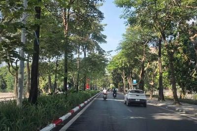 Truy tố 47 bị can gian lận, thông thầu liên quan đến các dự án cây xanh