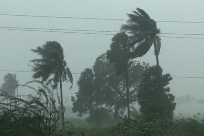Bão Arnab tàn phá nặng nề đông nam Ấn Độ