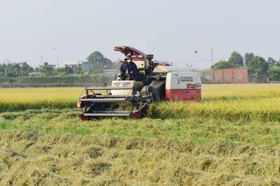 Bắc Ninh nâng cao tiêu chuẩn an toàn nông sản, mở rộng thị trường xuất khẩu