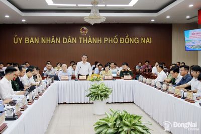 Định hướng, đề xuất phương án phát triển kinh tế tầm thấp tại Đồng Nai