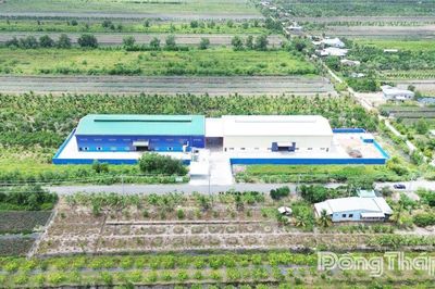 Xã Tân Phước 2: Tạo đà bứt phá trong phát triển kinh tế - xã hội