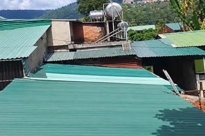 Cơ sở chăn nuôi heo ở Ia Phí bị phạt 1,5 triệu đồng vì gây ô nhiễm môi trường